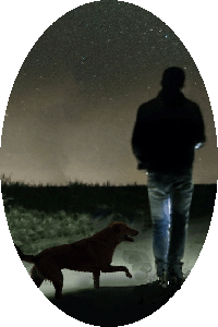 Silhouettes of mysterious man and dog walking away