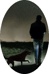 Silhouette of a mysterious man walking a dog at night under a starry sky, with dim lighting and a desolate setting